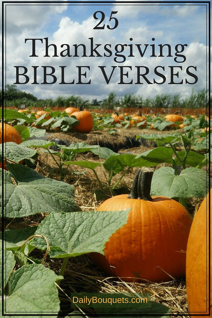 Thanksgiving Quotes Biblical
 1000 ideas about Thanksgiving Bible Verses on Pinterest