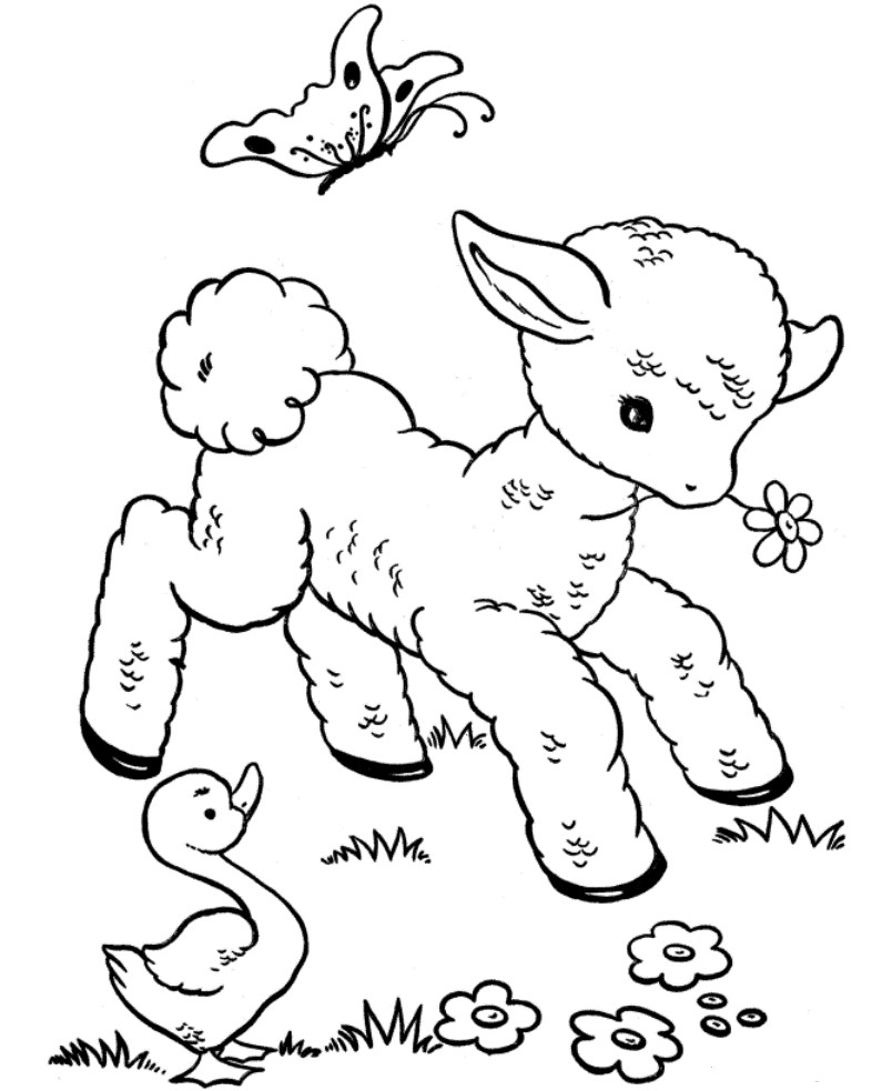 Toddler Animal Coloring Pages
 Kids Corner Veterinary Hospital Wexford wexford vets