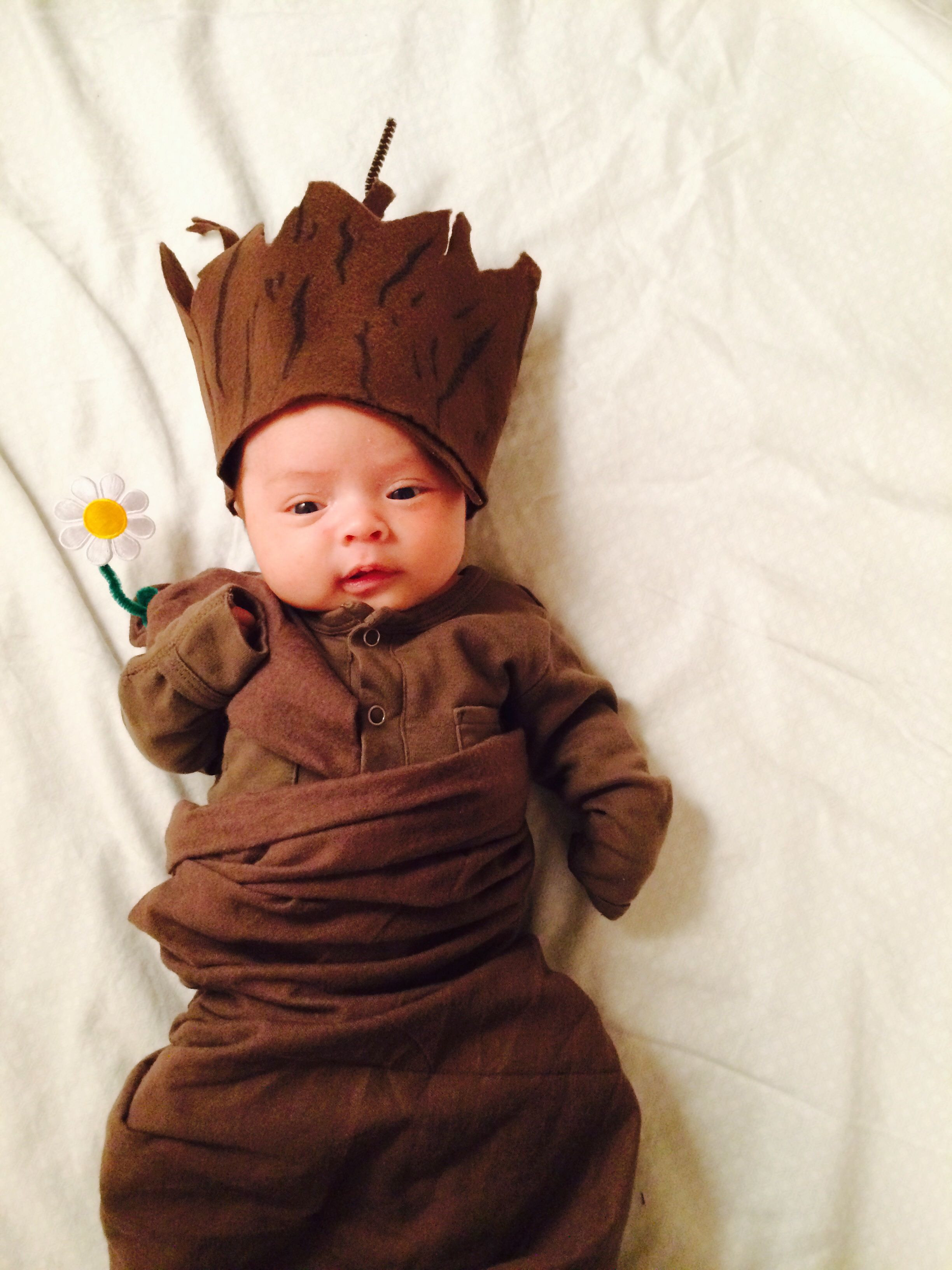 Toddler Halloween Costumes DIY
 DIY Newborn Baby Groot Costume Guardians of the Galaxy