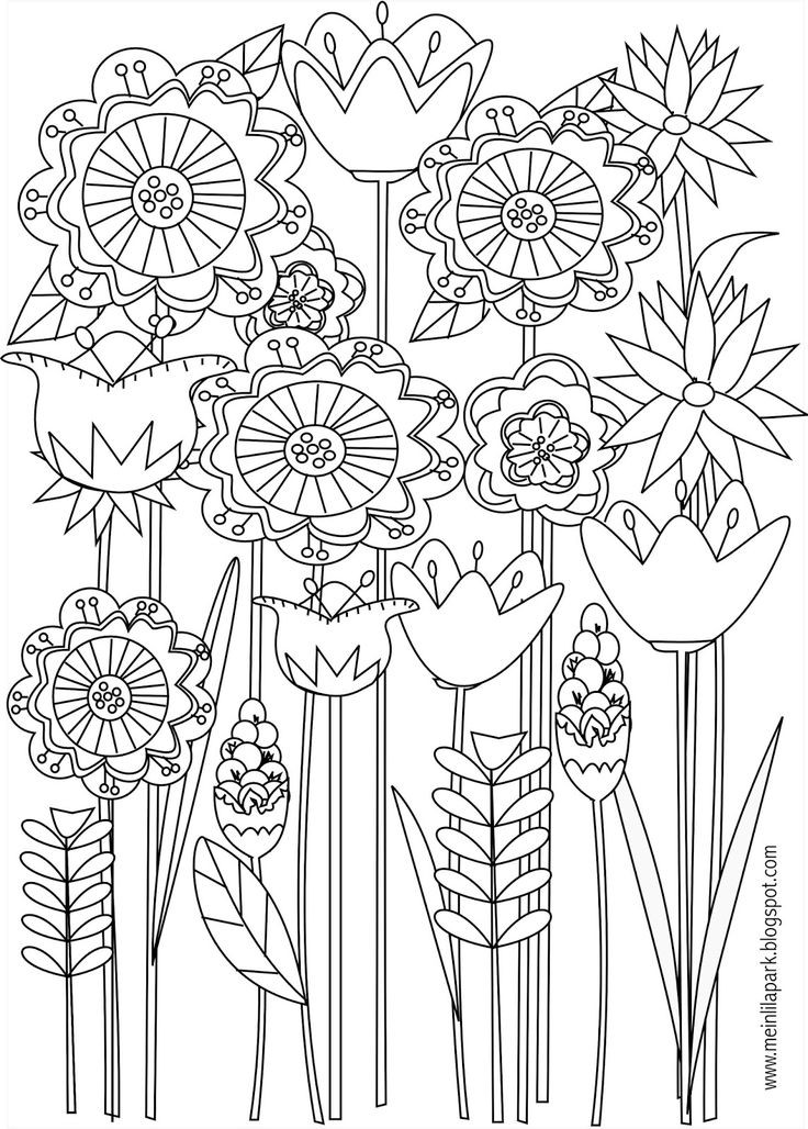 Top Rated Adult Coloring Books
 2965 best images about Coloring flowers on Pinterest