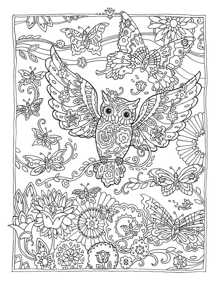 Top Rated Adult Coloring Books
 340 best images about Coloring Pages for Adults NOT X
