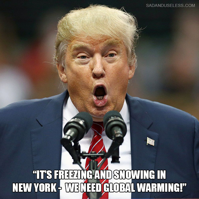 Trump Funny Quotes
 15 Dumbest Donald Trump Quotes
