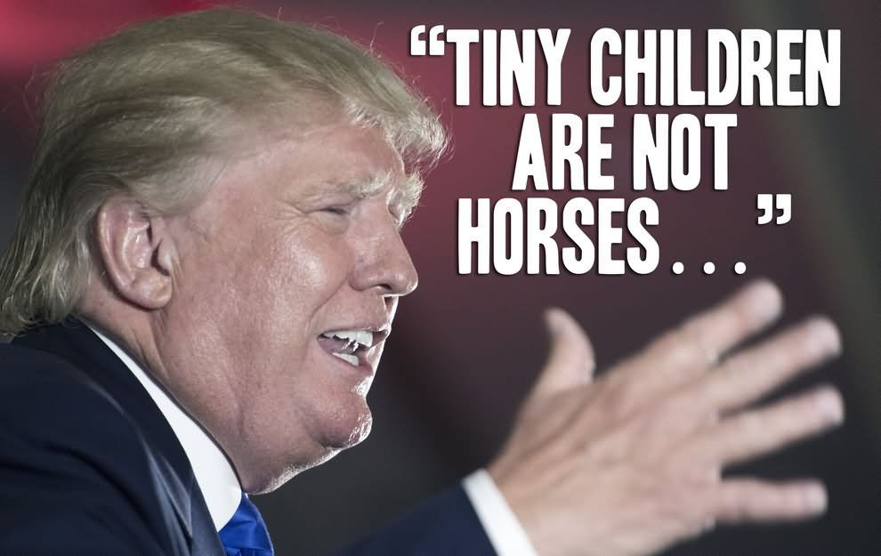 Trump Funny Quotes
 30 Most Funniest Donald Trump The Internet