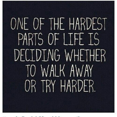 Try Life Quotes
 Try harder or give up Quotes Pinterest