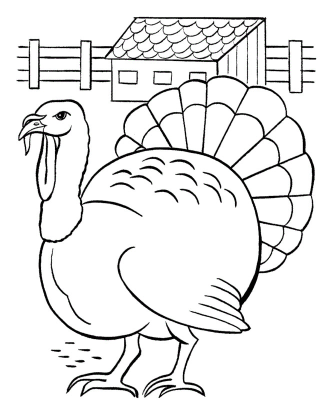 Turkey Printable Coloring Pages
 Free Printable Turkey Coloring Pages For Kids