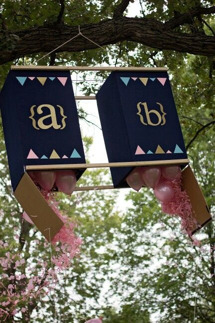 Twin Gender Reveal Party Ideas
 8 best images about baby shower on Pinterest