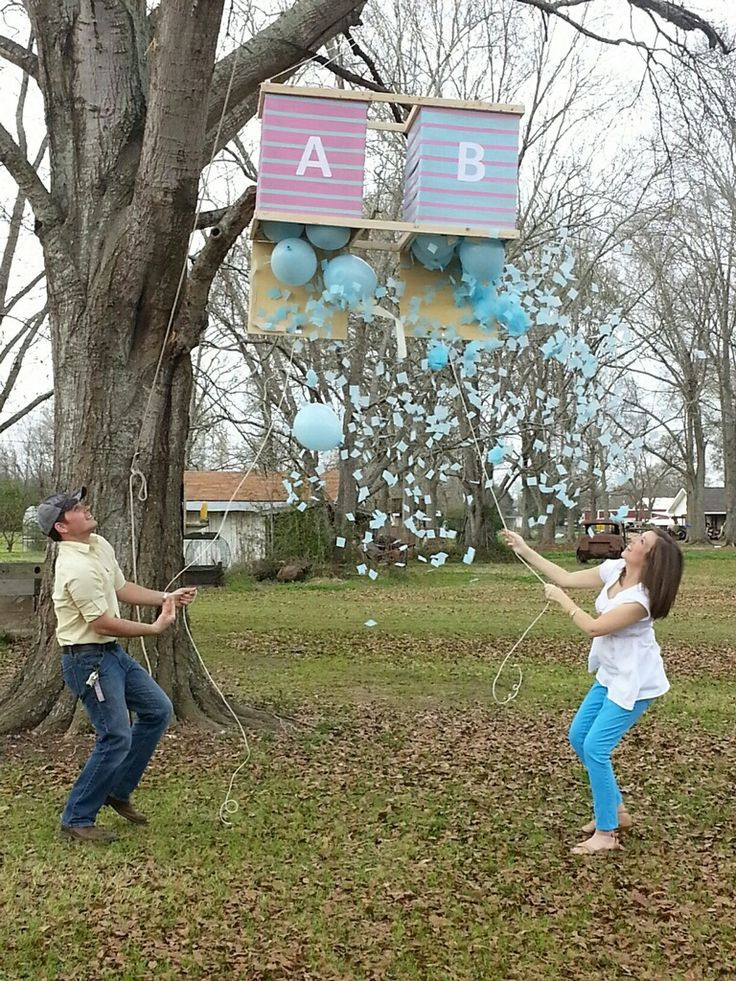 Twin Gender Reveal Party Ideas
 Twin Gender Reveal Party