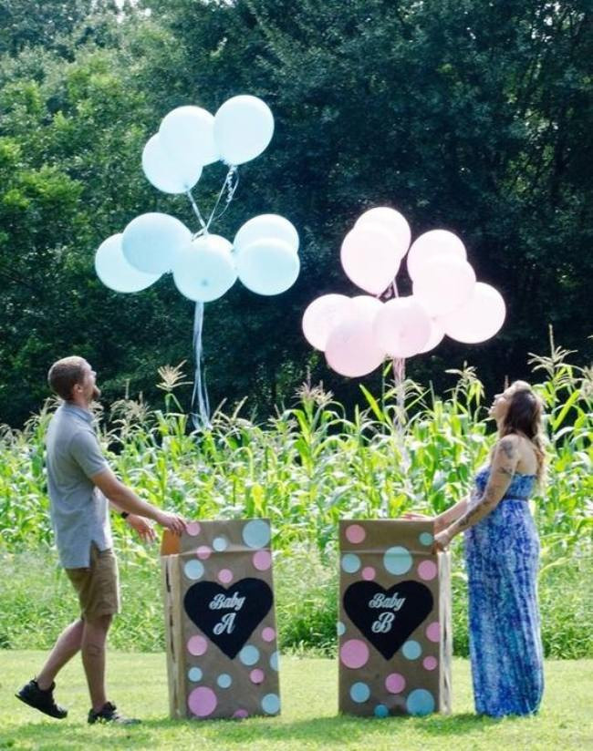Twin Gender Reveal Party Ideas
 24 Gender Reveal Ideas for Pregnancy Announcements – Tip