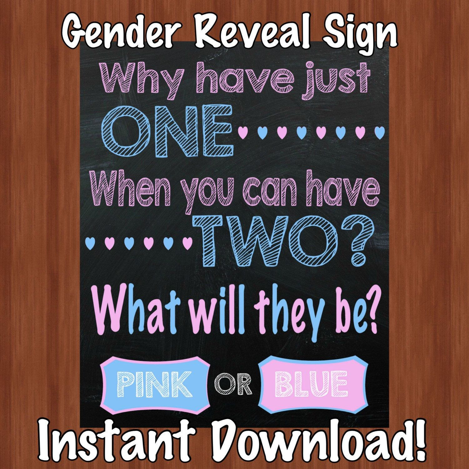 Twins Gender Reveal Party Ideas
 Popular items for gender reveal party on Etsy