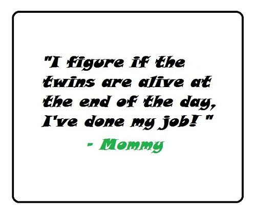 Twins Quotes Funny
 Best 25 Twin quotes ideas on Pinterest