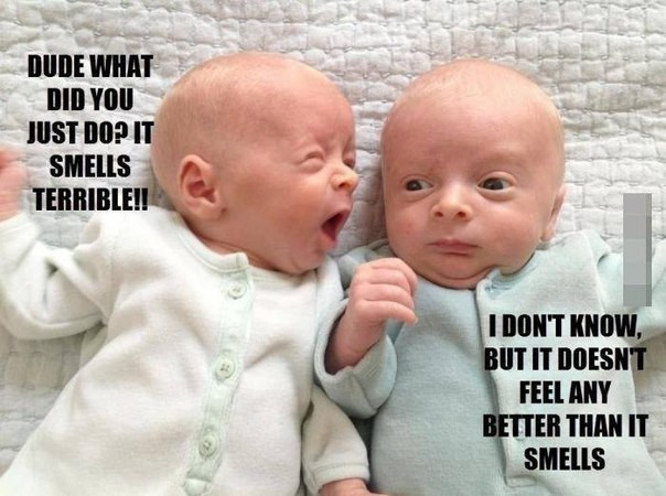 Twins Quotes Funny
 30 Cute Babies With Funny Quotes [ ]