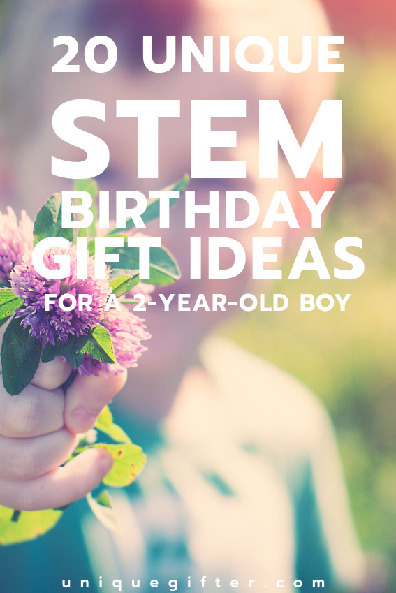 Two Year Old Birthday Gift Ideas
 20 STEM Birthday Gift Ideas for a 2 Year Old Boy Unique