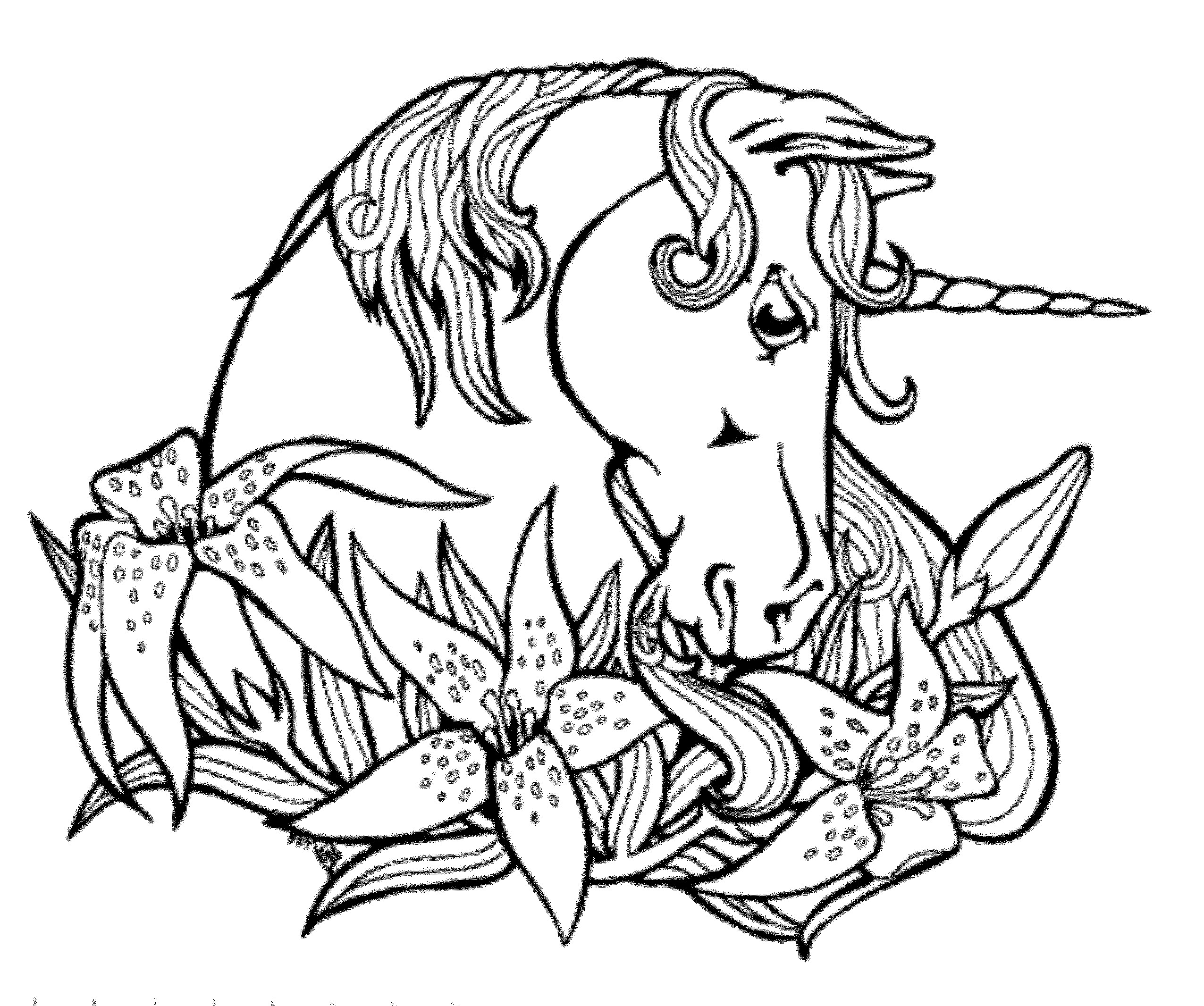 Unicorn Girl Coloring Pages
 Print & Download Unicorn Coloring Pages for Children