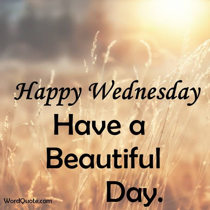 Wednesday Quotes Funny
 Happy Wednesday Quotes And Word Quote