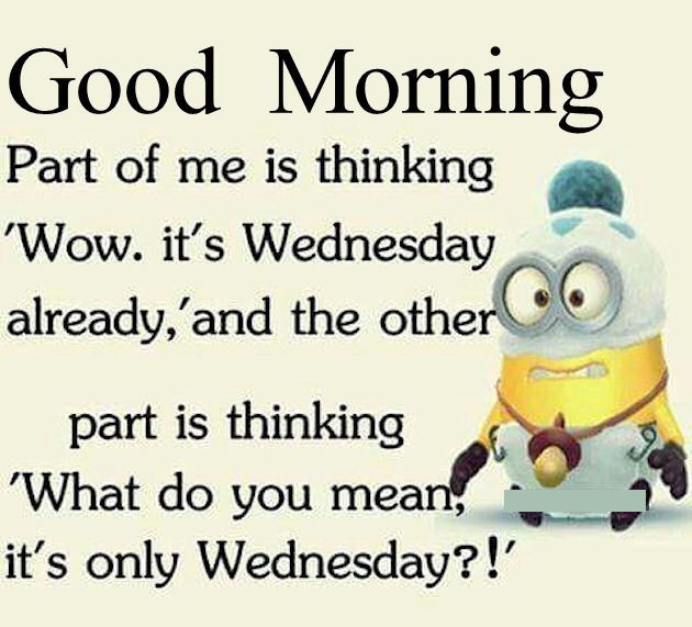 Wednesday Quotes Funny
 Good Morning Funny Minion Wednesday Quote s