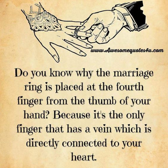 What Is Marriage Quote
 35 Marriage Quotes jmg collection