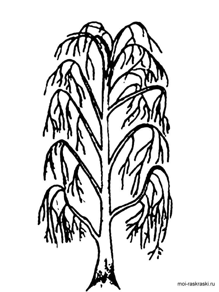 Willon Coloring Pages For Boys
 Willow Tree coloring pages for kids Free Printable Willow