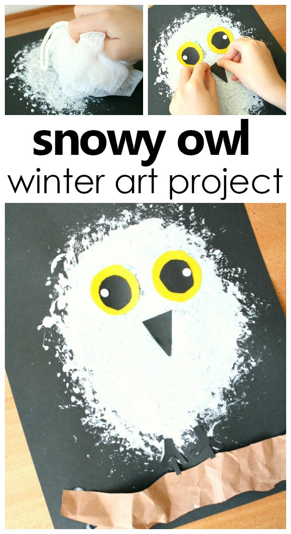Winter Art Projects For Preschoolers
 Snowy Owl Winter Craft for Kids Fantastic Fun & Learning