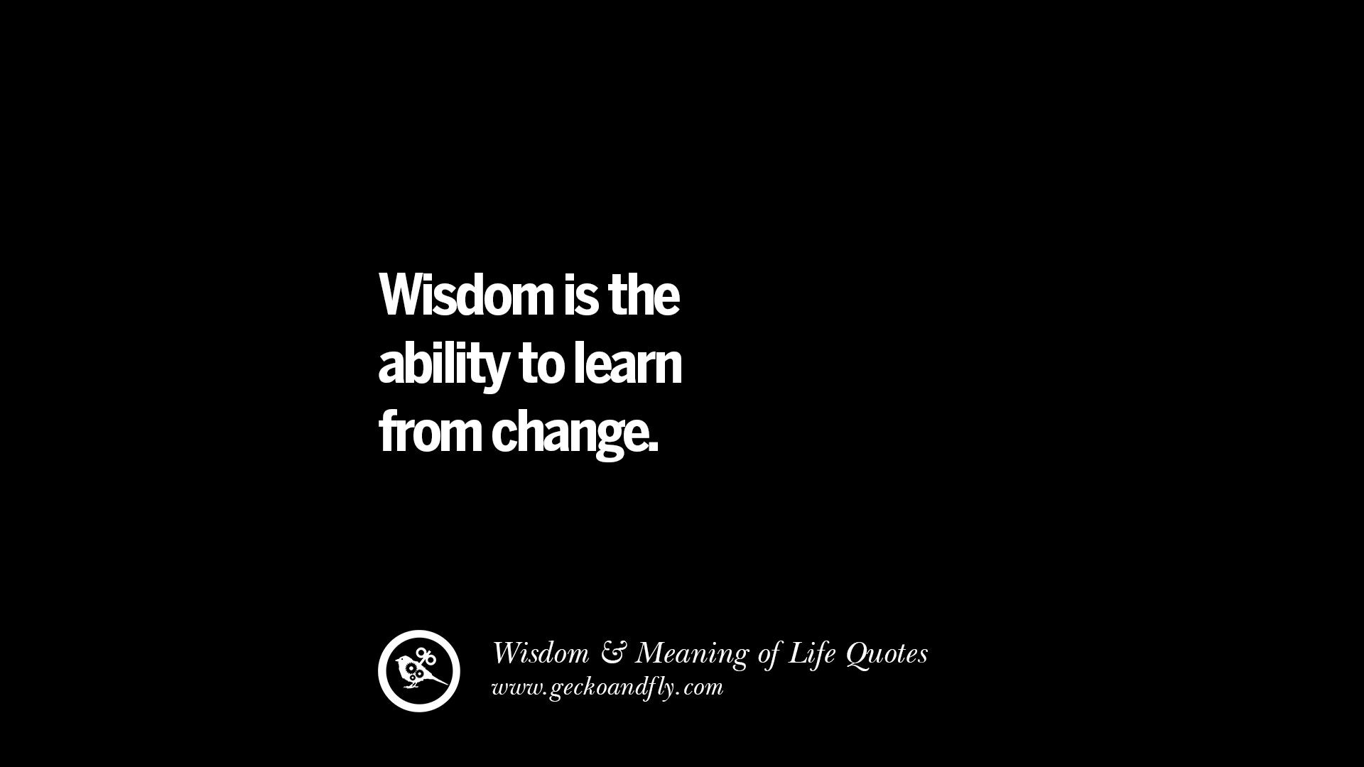 Wise Life Quotes
 52 Funny Eye Opening Quotes About Wisdom Truth And