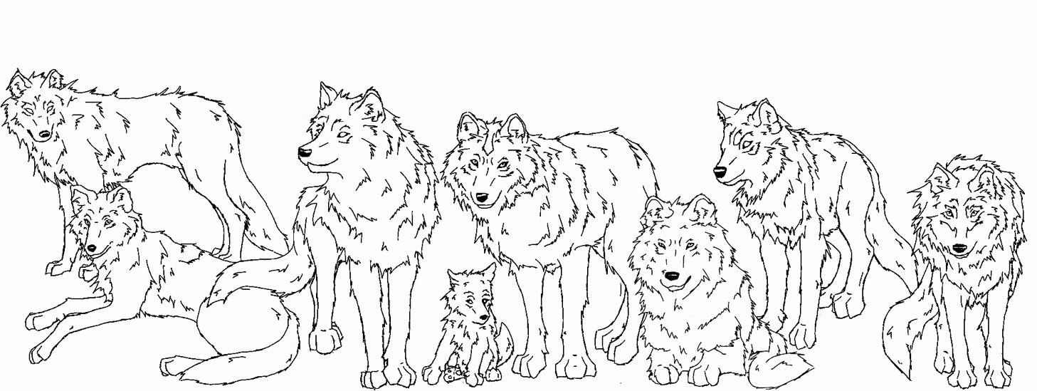 Wolf Pack Coloring Pages
 Anime Wolf Pack Coloring Pages Coloring Home