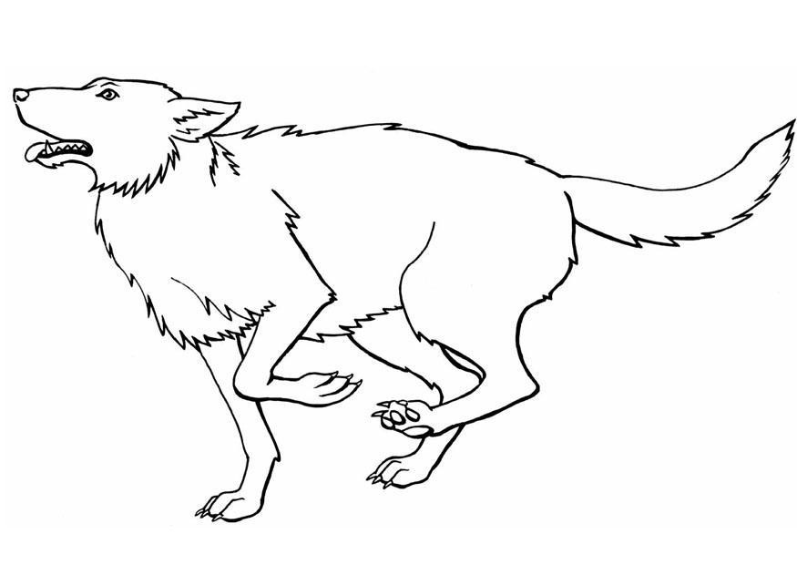 Wolf Pack Coloring Pages
 Wolf Pack Coloring Pages Coloring Home