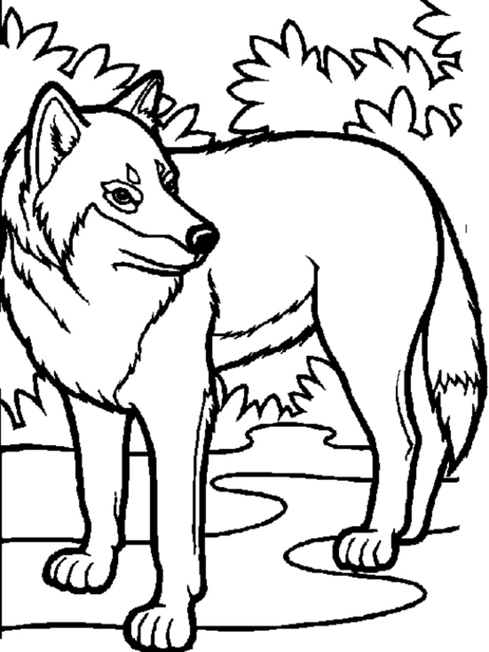 Wolf Pack Coloring Pages
 Print & Download Wolf Coloring Pages Theme