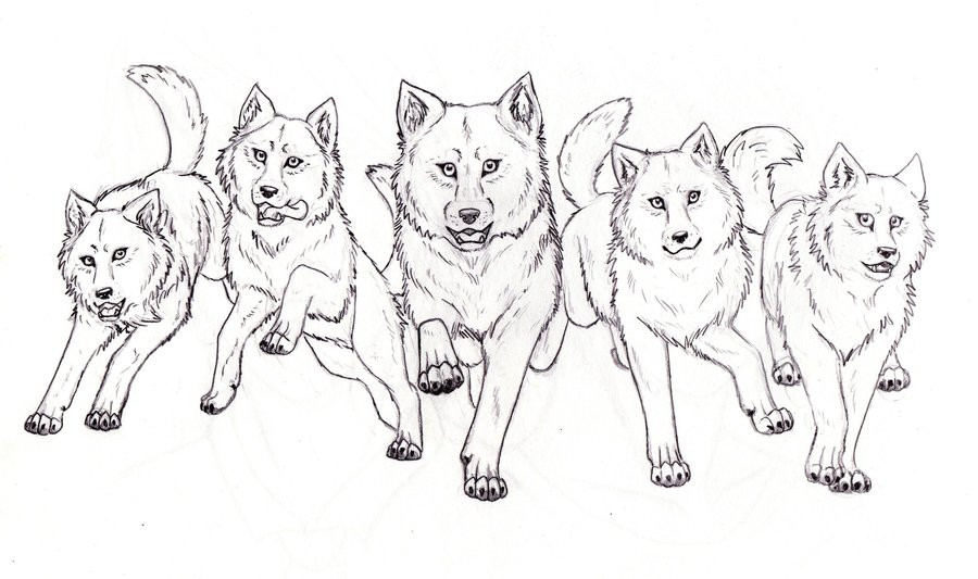 Wolf Pack Coloring Pages
 Wolf Pack by Inarium on DeviantArt