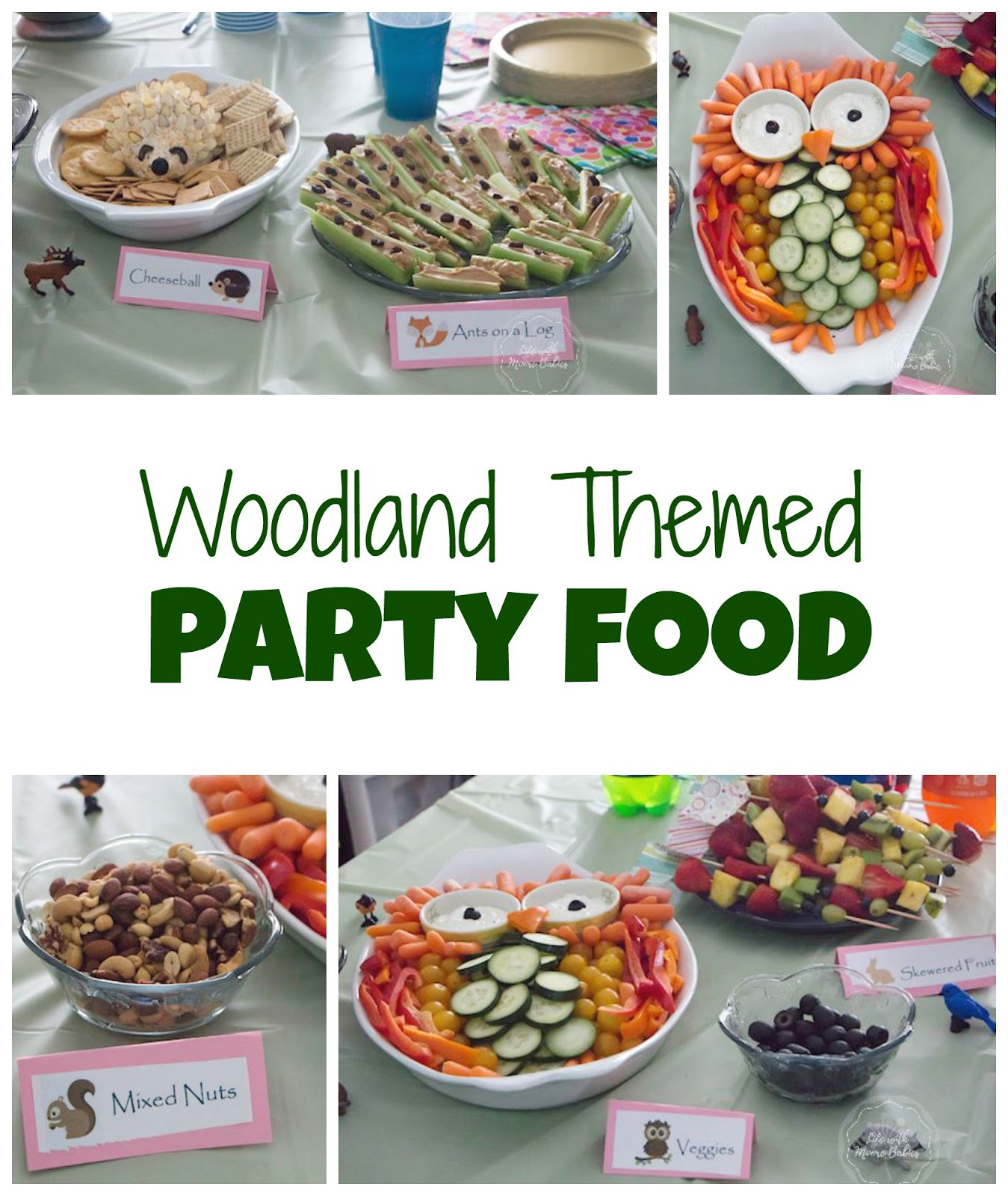 Woodland Party Food Ideas
 Ideas to Host an Adorable Woodland Birthday Party Life