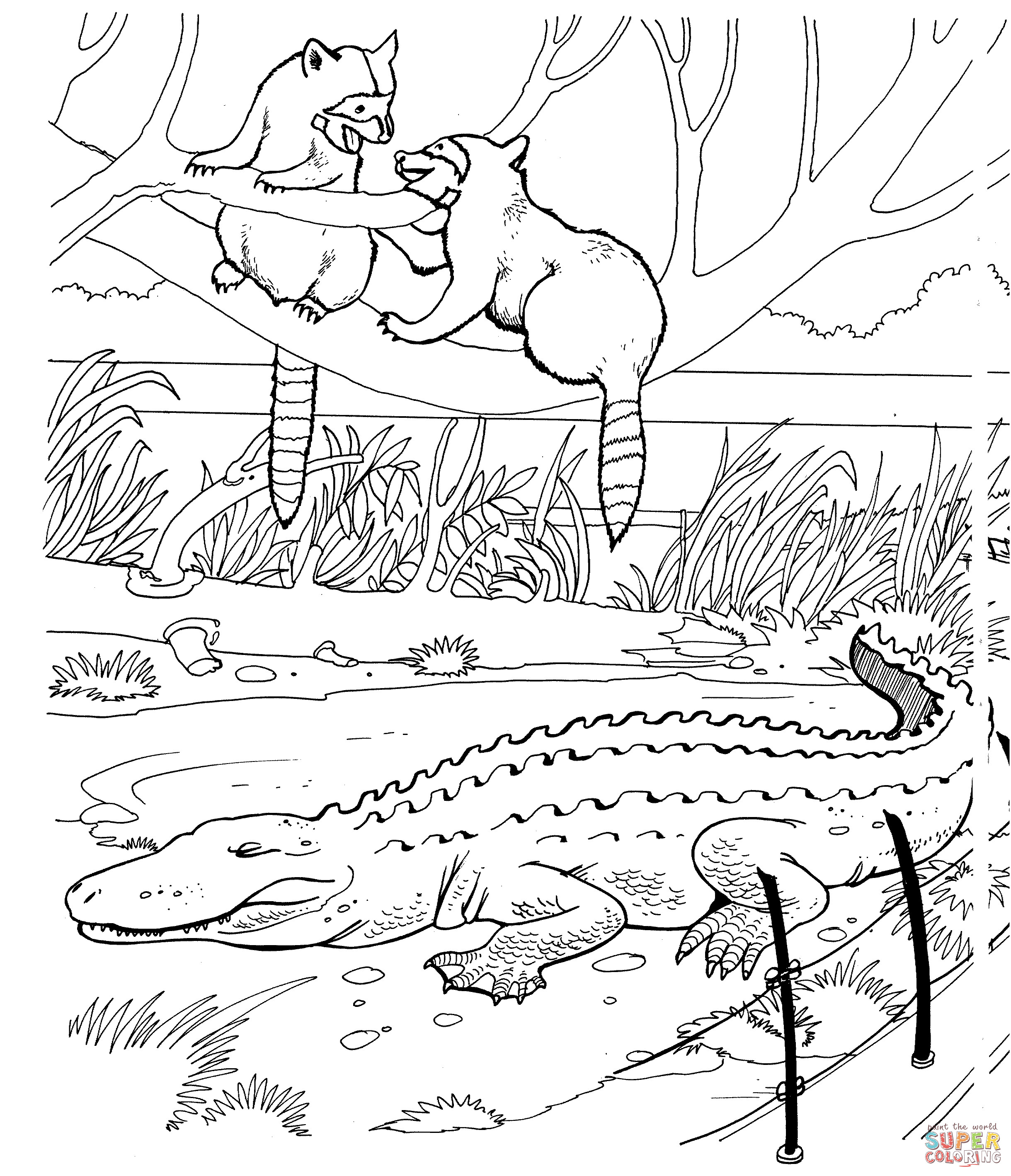 Zoo Animals Coloring Pages
 Two Raccoons and Alligator in a Zoo Coloring page