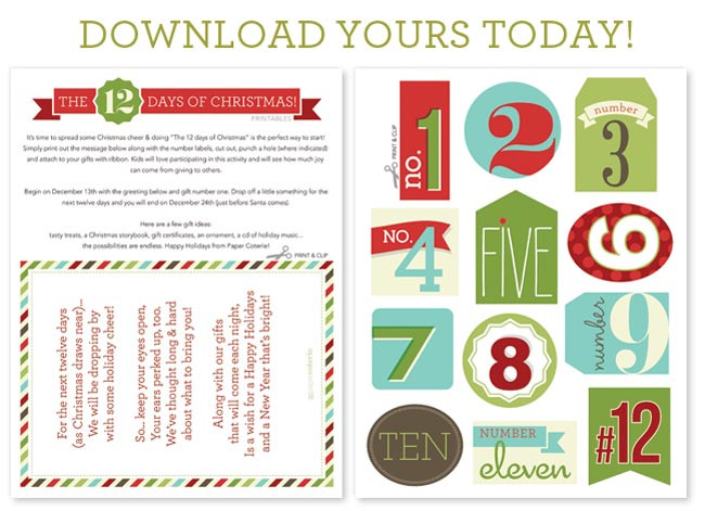 12 Days Of Christmas Funny Gift Ideas
 12 Days of Christmas Ideas