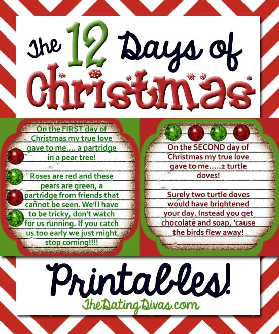12 Days Of Christmas Gift Ideas For Friends
 The 12 Days of Christmas