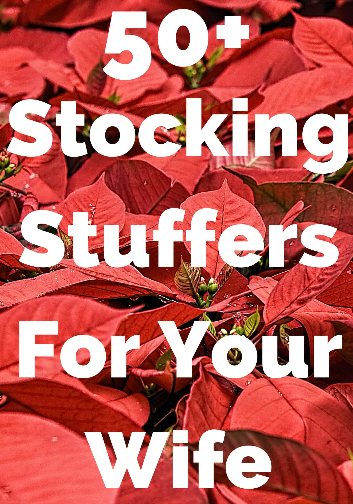 12 Days Of Christmas Gift Ideas For Her
 Best 50 Stocking Stuffers for Your Wife