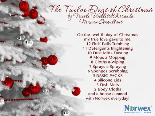 12 Days Of Christmas Gift Ideas For Her
 We re closing out the Twelve Days Christmas with one