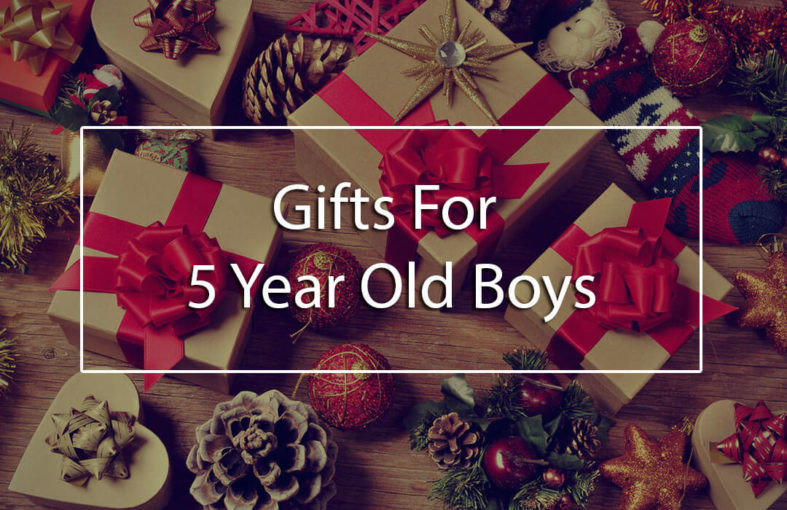 5 Year Old Boy Birthday Party Ideas
 The Top 5 Best Gifts for 5 Year Old Boys 5 year old
