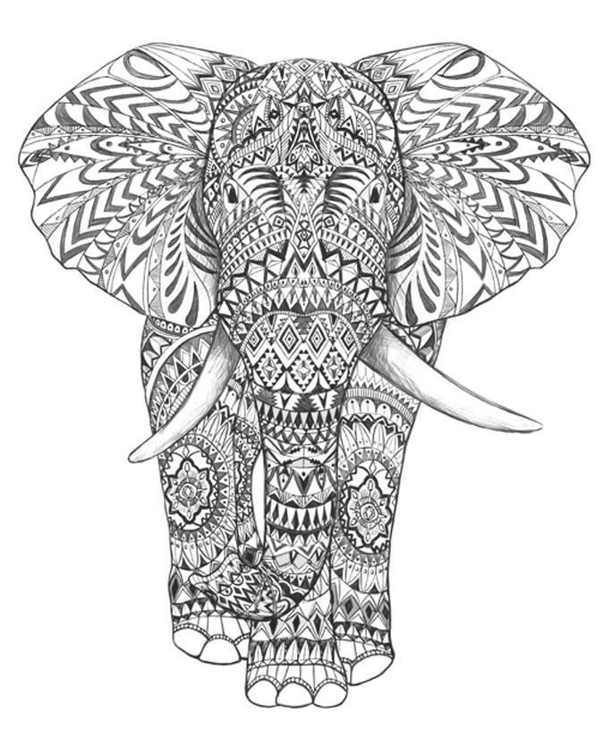 Adult Coloring Book Elephant
 coloring pages for adults difficult elephants Google