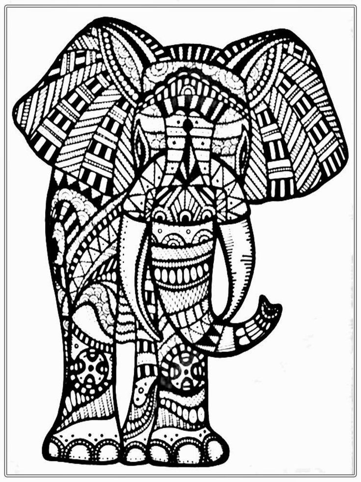 Adult Coloring Book Elephant
 19 best images about Adult coloring Elephants on
