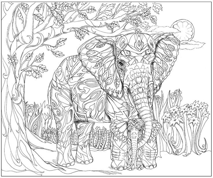 Adult Coloring Book Elephant
 29 best Adult Coloring Pages ANIMALI images on Pinterest