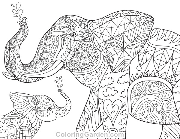 Adult Coloring Book Elephant
 Pin by Muse Printables on Adult Coloring Pages at