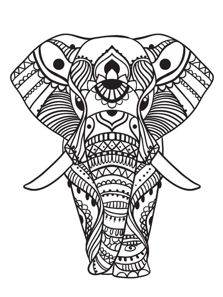 Adult Coloring Book Elephant
 173 best Elephant Coloring Pages for Adults images on