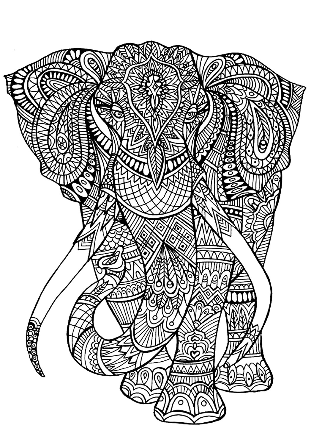 Adult Coloring Book Elephant
 like this one intended for adults to color can