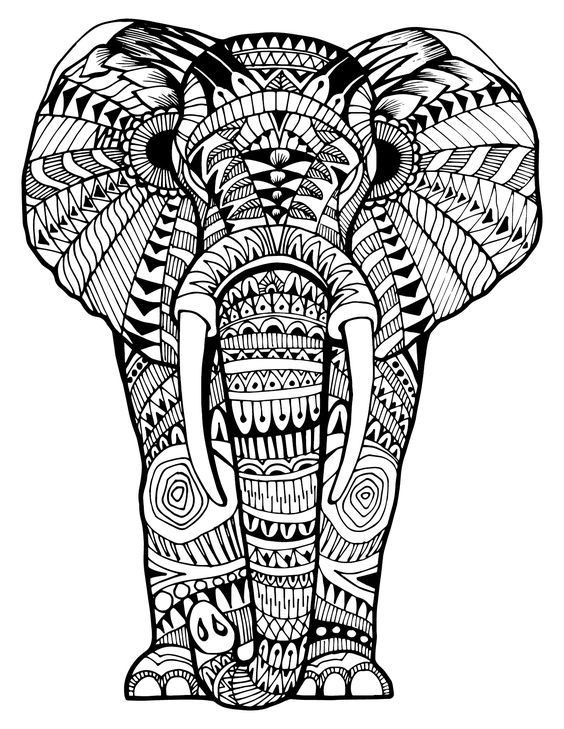 Adult Coloring Book Elephant
 159 best Elephant Coloring Pages for Adults images on