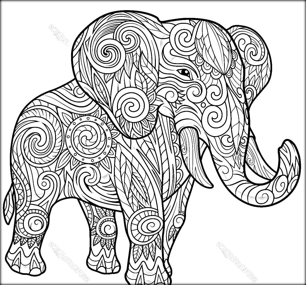 Adult Coloring Book Elephant
 Elephant Coloring Pages coloringsuite