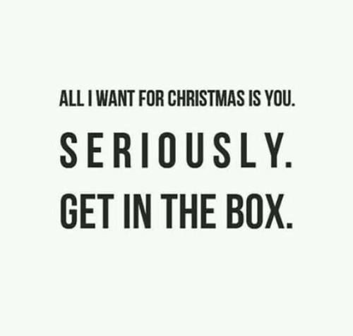 All I Want For Christmas Quotes
 All I want for Christmas is you Seriously Get in the box