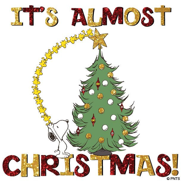 Almost Christmas Quotes
 PEANUTS Snoopy