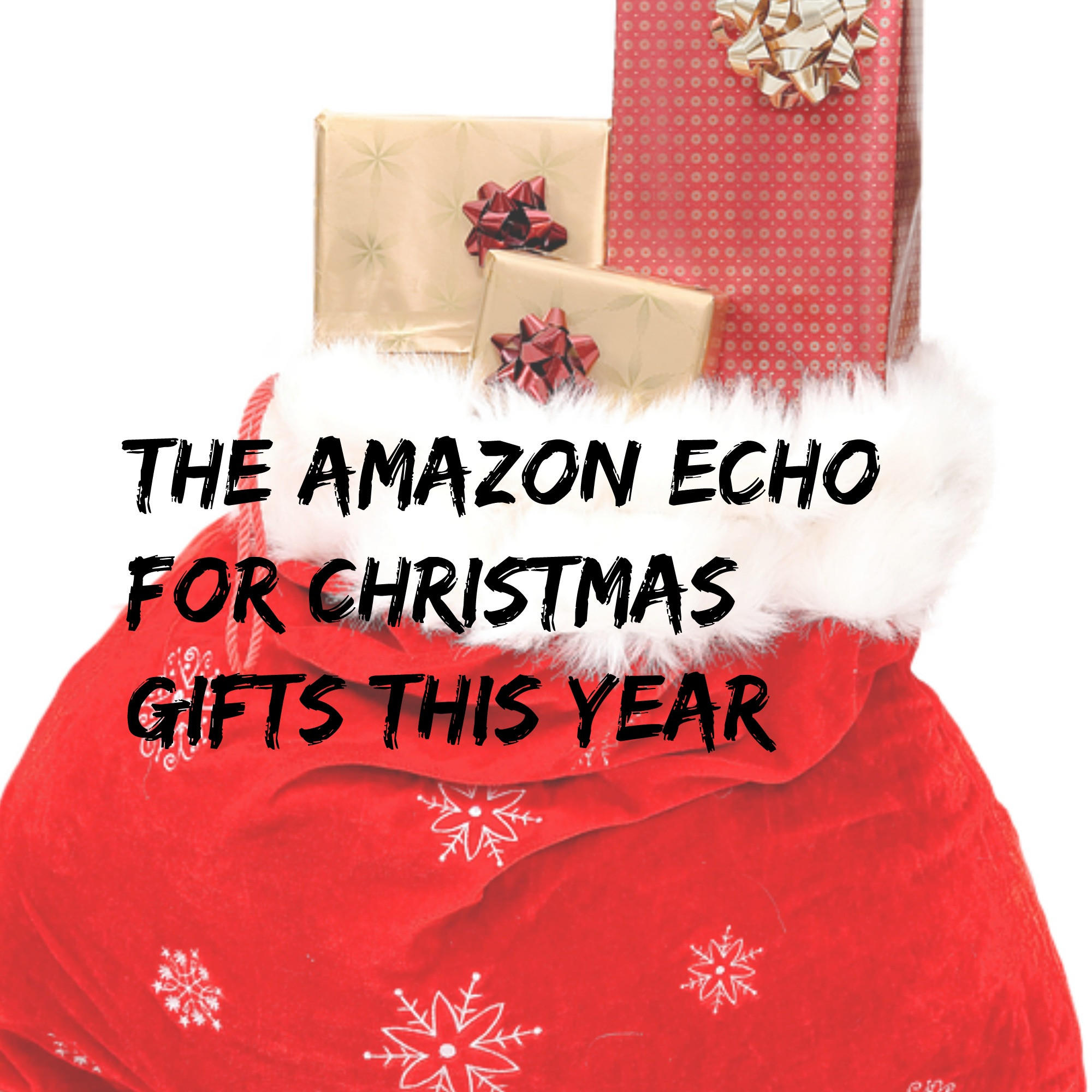 Amazon Christmas Gift Ideas
 The Amazon Echo For Christmas Gifts This YearLife After 60