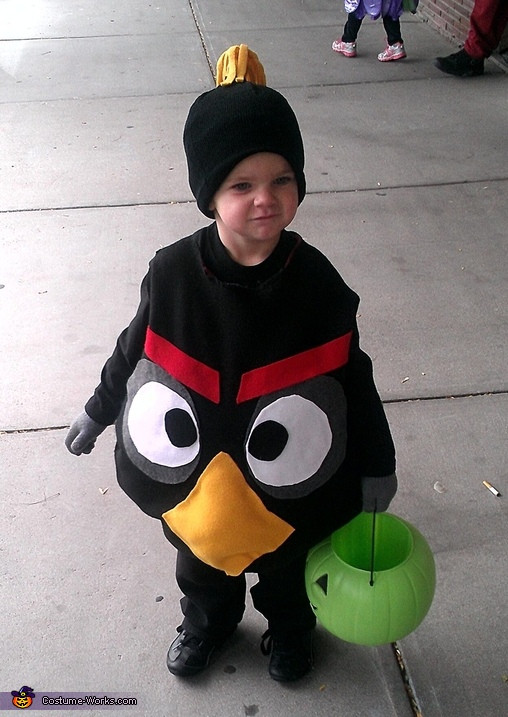 Angry Bird Costume DIY
 1000 images about DIY Kids Costumes on Pinterest