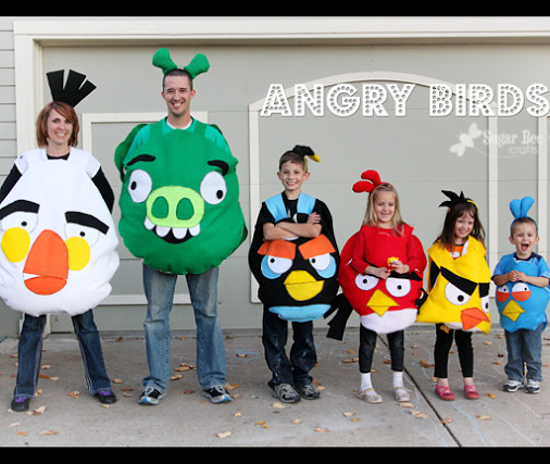 Angry Bird Costume DIY
 Angry Birds