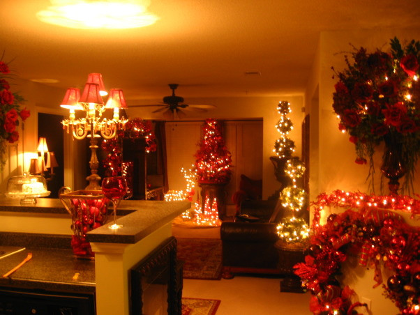 Apartment Christmas Lights
 Information About Rate My Space