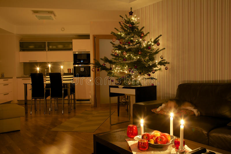 Apartment Christmas Tree
 Christmas Tree In Apartment Stock Image