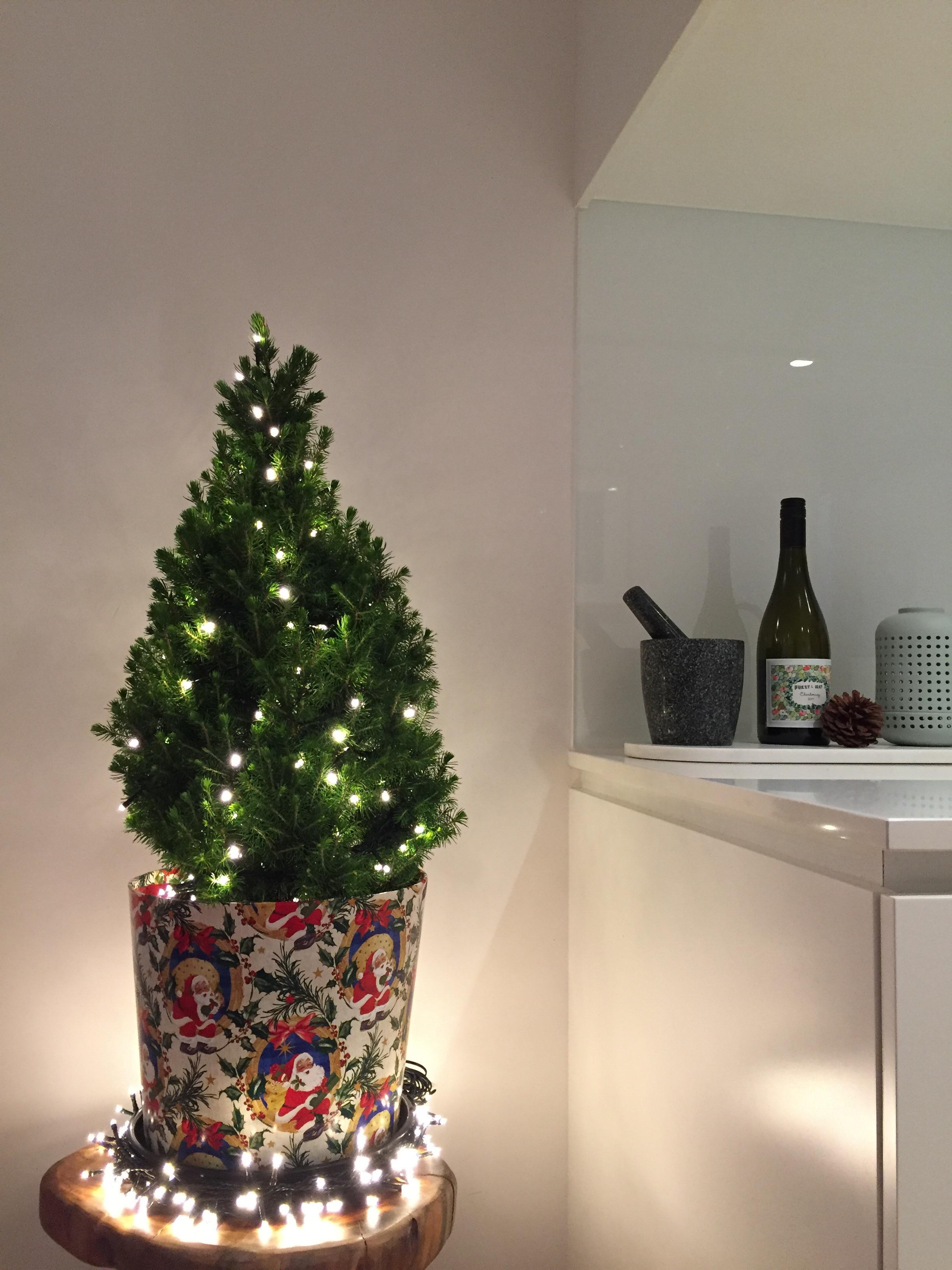 Apartment Christmas Tree
 Apartment sized Christmas tree 🎄 christmas